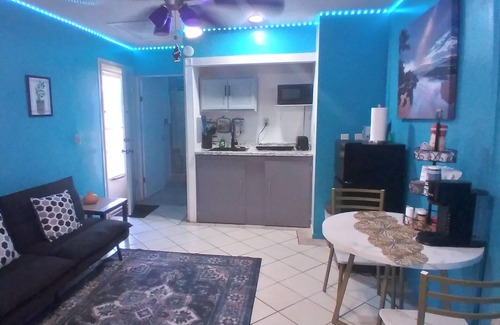 Lutz Apartment | Cozy studio with WiFi and AC and in lovely Lutz! its family and pet friendly.