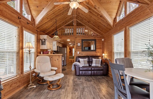 Belle Mina Cabin | Cozy Tiny Cabin with a View!