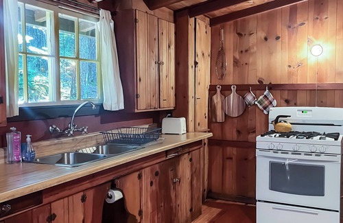 Middletown Cabin | Cozy vintage cabin with fireplace near hot spring