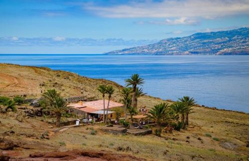 Canical Apartment | Crab House 01 by GALMI