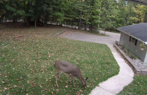 Pickerel House | Crane Lake, WI Retreat