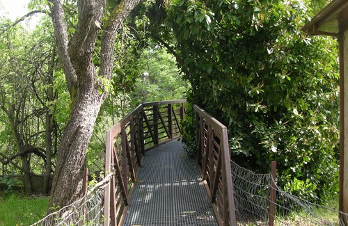 Sutter Creek House | Creekside Home in Historic Sutter Creek