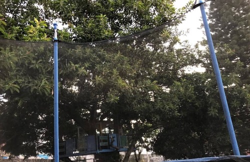 Oaxtepec House | Crisantemos Loft house, to work or simply rest