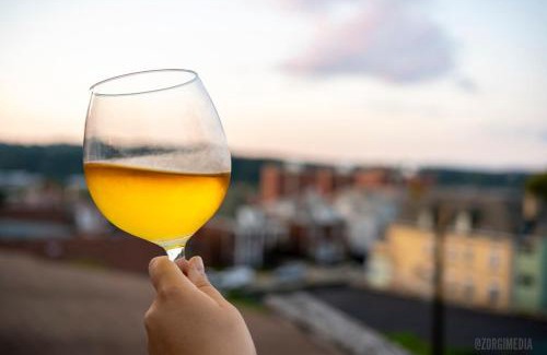 Homestead Apartment | Crow's Nest Crash-Pad