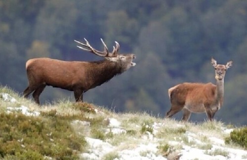 Poveda de la Sierra Apartment | Cruz-Mar Apartments