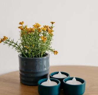 Veroce House | Csillagvirág Apartman