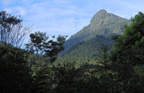 Pance House | Cucú Ardilla Vivienda Campestre en Pance