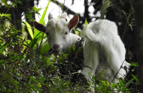 Pance House | Cucú Ardilla Vivienda Campestre en Pance