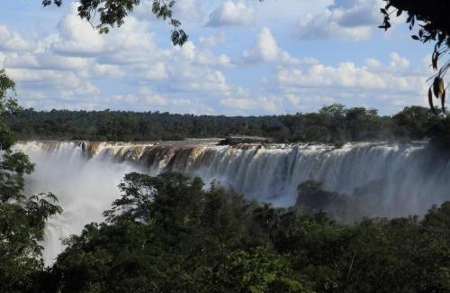 Puerto Iguazu Resort | Curiango Bird Camp