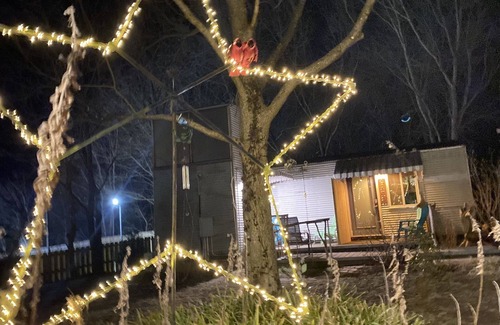 Pittsboro House | Curiously Cute B&B Private Woodshed- Pet friendly