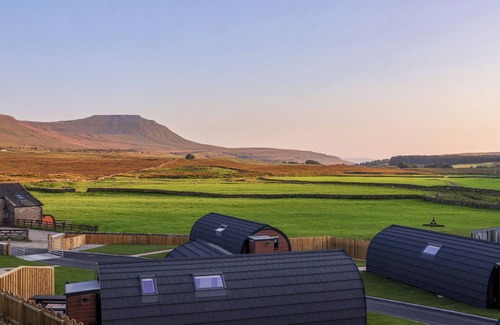 Yockenthwaite Cottage | Curlew