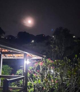 Miguel Pereira House | Curta a terra dos Dinos na casa verde