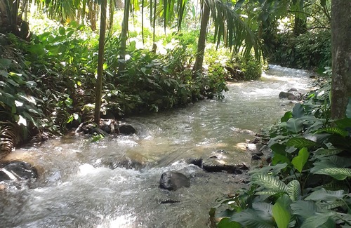 Dolega Apartment | Cute 1-Bdrm Apt in Dolega Centro. Great Central Location w/a Lovely Stream.