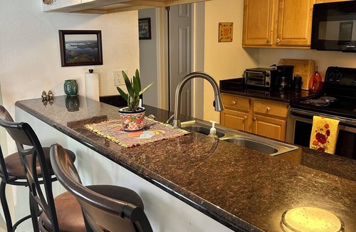 Bayview Condo | Cute St Pete Condo near Gulfport