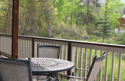 Ridgway House | Cutler Guest House 3br/Den/2ba - Price Reduced for December & Holiday!