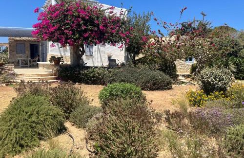 Santa Maria Villa | Cycladic Villa, Blue Stories