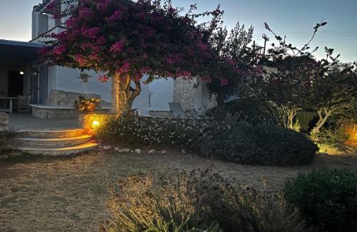 Santa Maria Villa | Cycladic Villa, Blue Stories