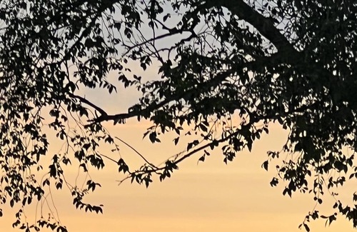 Miller Beach House | Cypress House Directly on the Beach- Direct Waterfront