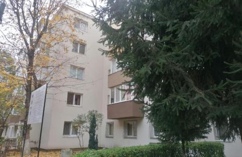 Tirgu Mures Apartment | Dâmb 2 camere