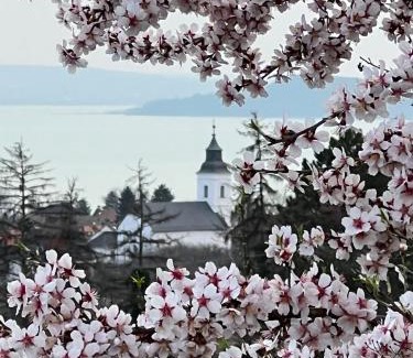 Csopak Apartment | Dózsa Apartman