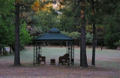 Mariposa Cottage | D&E Digs/Relax in the Woods Under Starlit Skies.