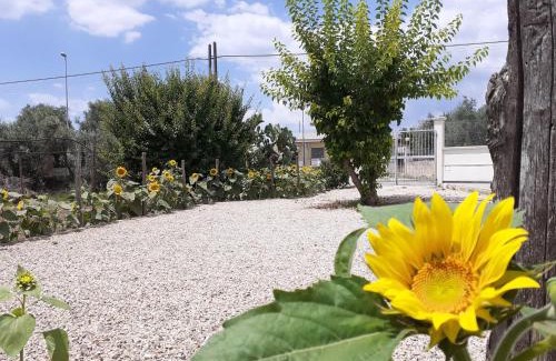 Pulsano Apartment | da Francesco