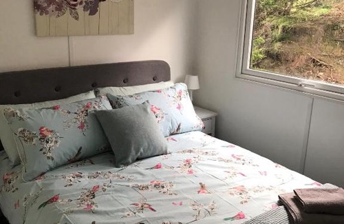 Builth Wells Cabin | Daffodil Lodge