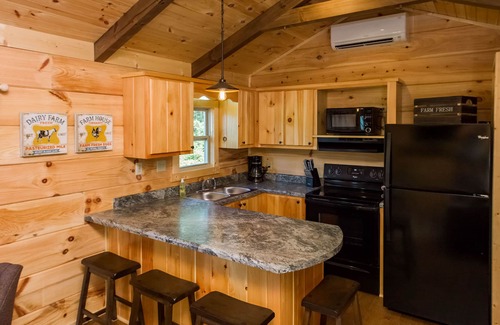 Mill Spring Cabin | Dali's Den Tiny House Rental 3 Miles to TIEC