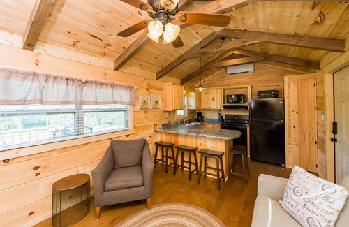 Mill Spring Cabin | Dali's Den Tiny House Rental 3 Miles to TIEC