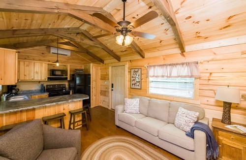 Mill Spring Cabin | Dali's Den Tiny House Rental 3 Miles to TIEC