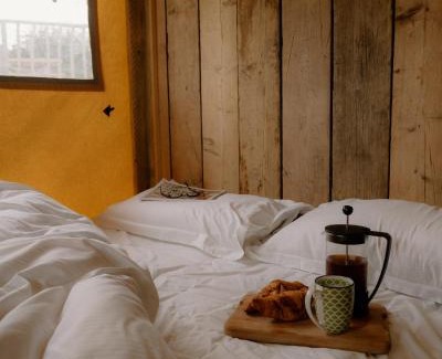 West Tanfield Other | Damselfy Riverdale Yorkshire