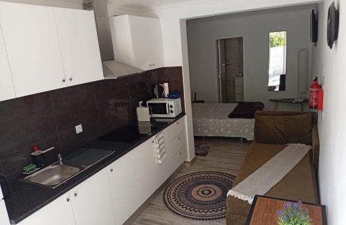 Curral das Freiras Apartment | Danny's Rural Suite T1