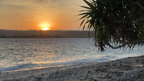 Turtle Bay Resort | Dany Island