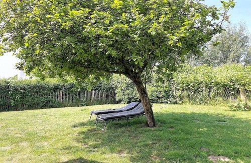 Rodenas House | Dat groote Diekhuus - whirlpool, terrace, fenced garden, sauna, beach chair