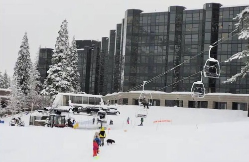 Olympic Valley Apartment | Dav’s Plush Ski-in/Ski-out Studio Condotel with Forest View @ 400 Squaw Creek Rd