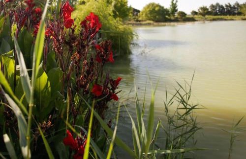 Simondium Apartment | Dawn Mountains Farm