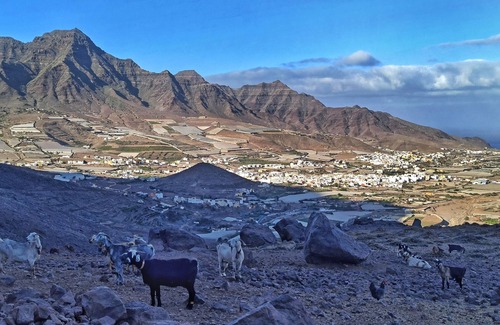 La Aldea de San Nicolas Apartment | De Sebastian 1 - Estudio Frente al mar