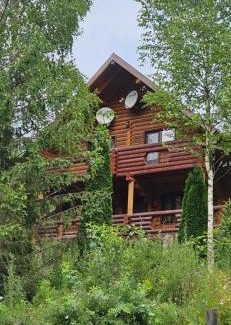 Vyzhnytsya Villa | Deep Forest 1