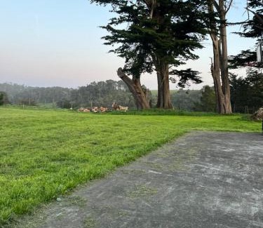 Point Arena House | Deer's Meadow