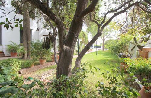 Velez-Malaga Villa | Del Parque Flats Villa Sauce