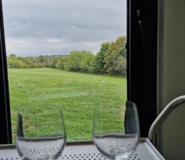 Dartford Apartment | Delightful cabin retreat wrapped by natural beauty