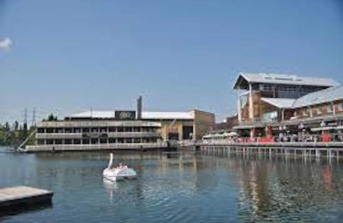 Dartford Apartment | Delightful cabin retreat wrapped by natural beauty