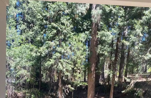 Forest Meadows House | Delightful tiny home surrounded by the woods.