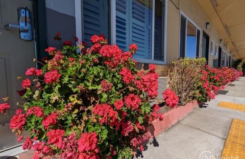 South San Francisco Hotel | Deluxe Inn