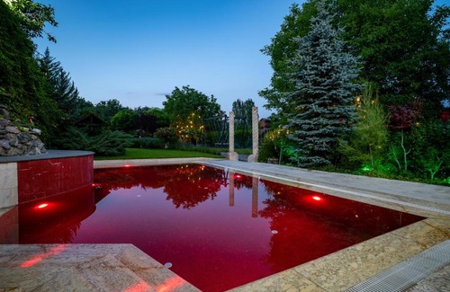 Nar Hotel | Deluxe Villa with pool