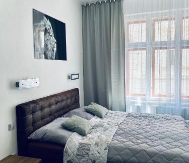 Trebic Bed & Breakfast | Demaris
