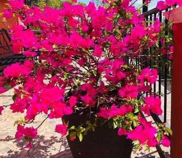 San Cristobal de las Casas Apartment | DEPARTAMENTO VILLA NEEK