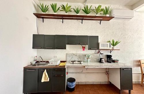 Los Cabos Apartment | Departamento centrico, 2 habitaciones , 4 camas matrimoniales, 1 bano completo, 1 estacionamiento