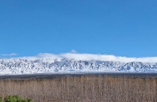 Vistalba Apartment | Departamento con piscina en Vistalba
