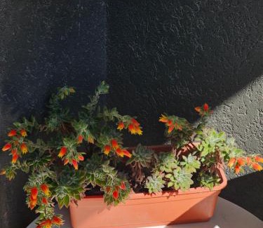 Caseros Apartment | Departamento en Caseros, Prov Bs As